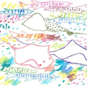 Mar de Mantarrayas y Barracudas