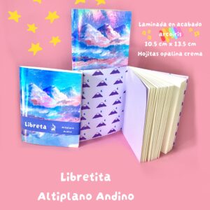Altiplano andino