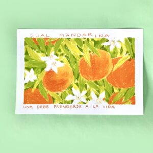 Cual mandarina