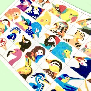 Aves de nuestro planeta